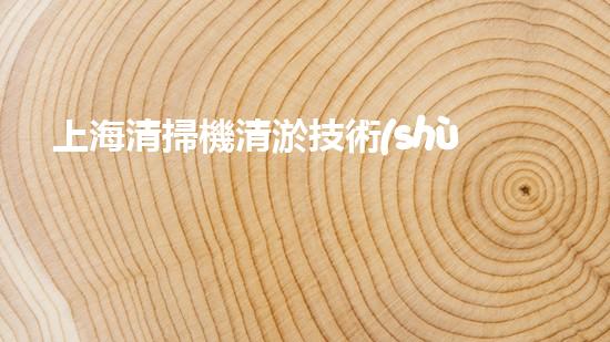 上海清掃機清淤技術(shù)革新：提升效率、保護環(huán)境，你明白最新的關(guān)鍵進展嗎？